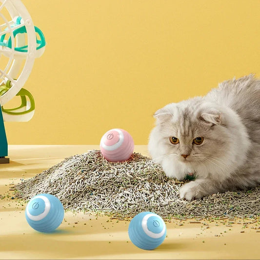 Interactive Spinning Ball for Cats