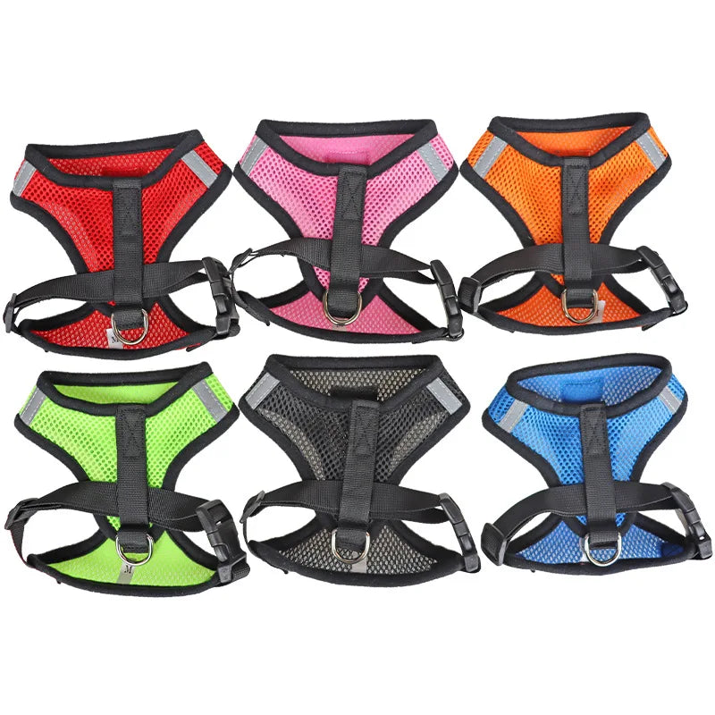 Cat Body Harness with Lead Leash