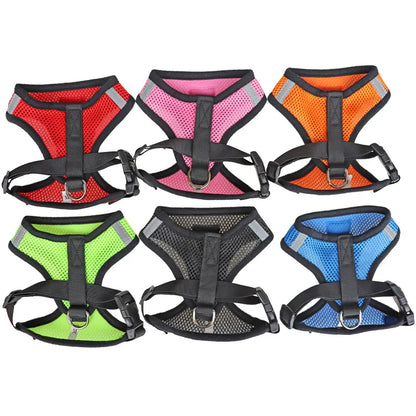 Cat Body Harness with Lead Leash